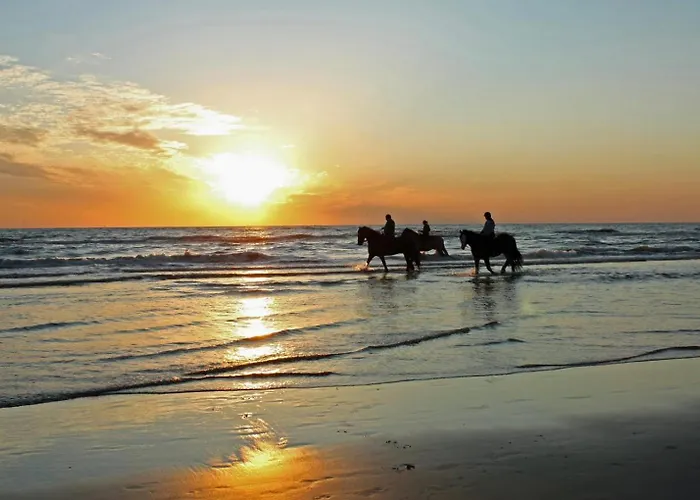 Et Soleil A Sur Mer/ Deauville בלונוויל-סור-מר