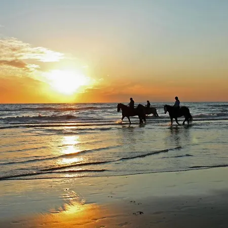 Et Soleil A Sur Mer/ Deauville بلونفيل سور مير